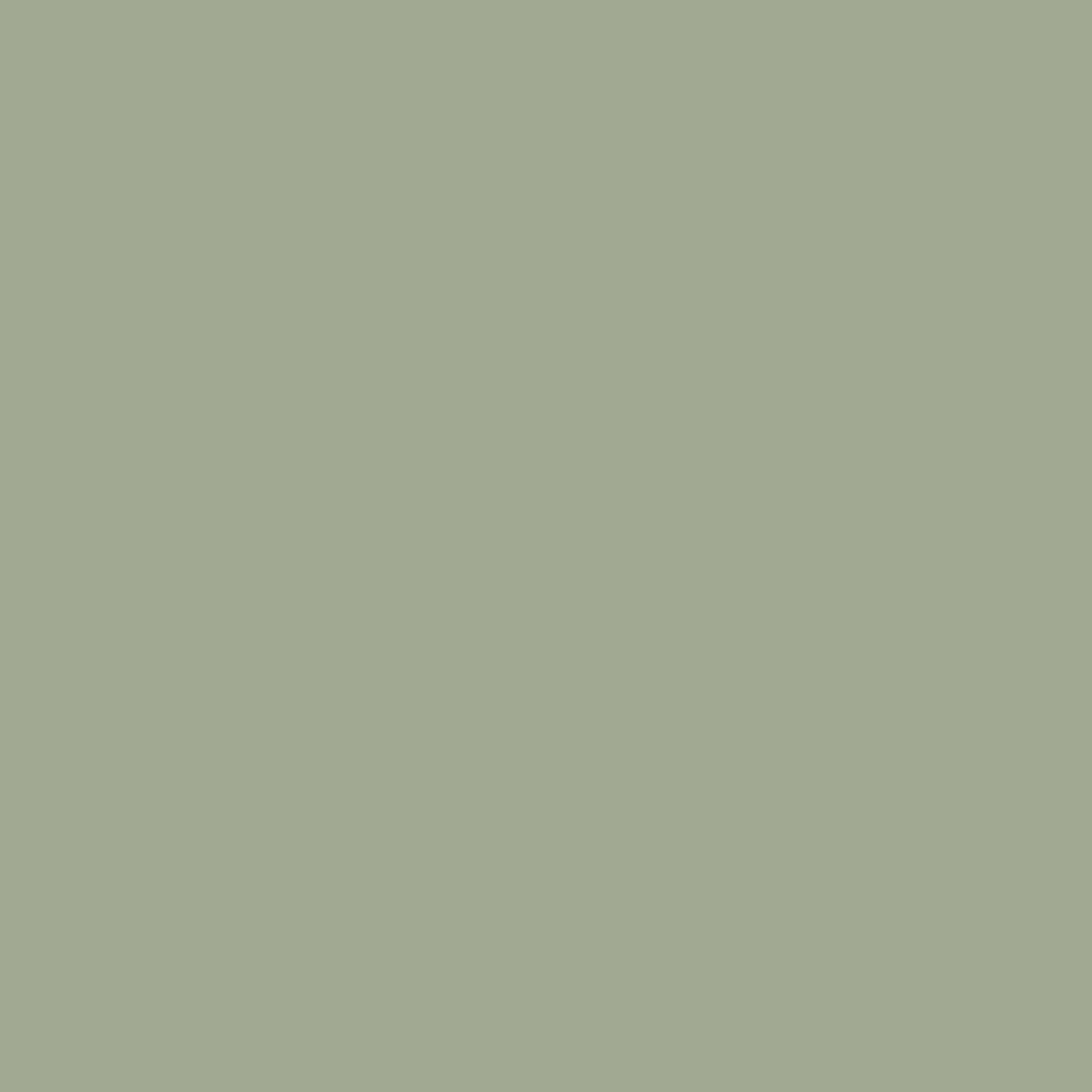 Aluminium 19 | green-tea